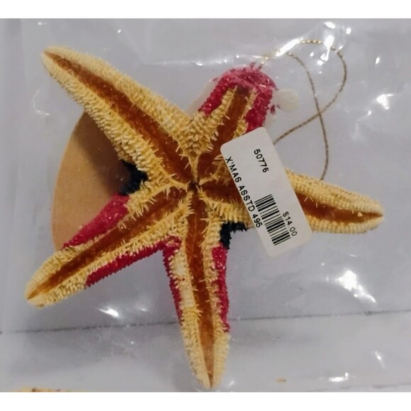 VINTAGE REAL STARFISH SANTA CLAUSE ALOHA HAWAII SURF THEMED CHRISTMAS ORNAMENT - Picture 3 of 7